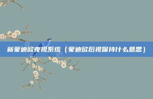 新蒙迪欧夜视系统(蒙迪欧后视保持什么意思)