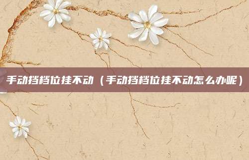 手动挡档位挂不动(手动挡档位挂不动怎么办呢)