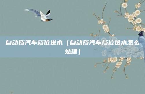 自动挡汽车档位进水(自动挡汽车档位进水怎么处理)