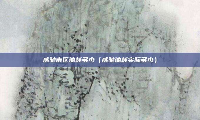 威驰市区油耗多少(威驰油耗实际多少)