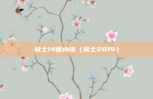 骑士14世内饰（骑士2014）