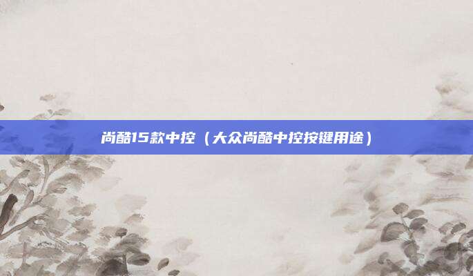 尚酷15款中控(大众尚酷中控按键用途)