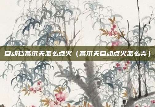 自动挡高尔夫怎么点火(高尔夫自动点火怎么弄)