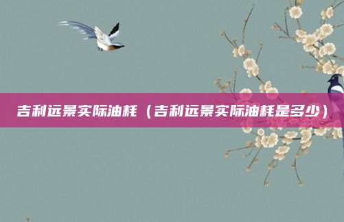 吉利远景实际油耗（吉利远景实际油耗是多少）