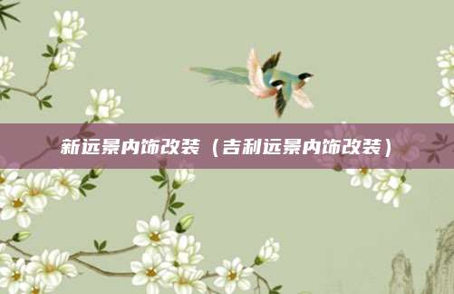新远景内饰改装（吉利远景内饰改装）