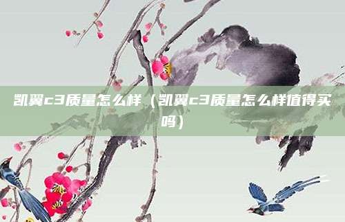 凯翼c3质量怎么样（凯翼c3质量怎么样值得买吗）