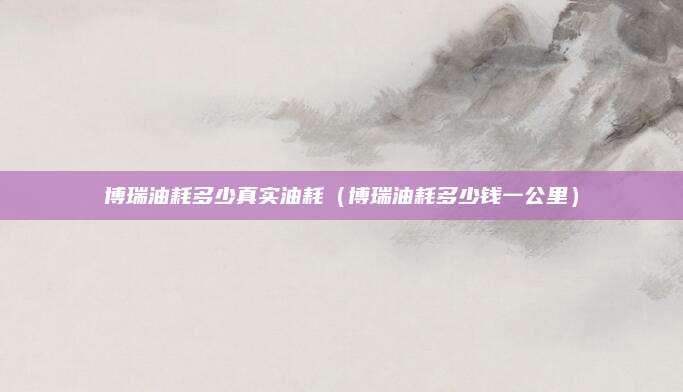 博瑞油耗多少真实油耗(博瑞油耗多少钱一公里)