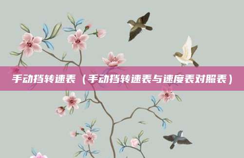 手动挡转速表（手动挡转速表与速度表对照表）