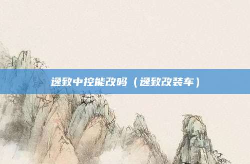 逸致中控能改吗(逸致改装车)