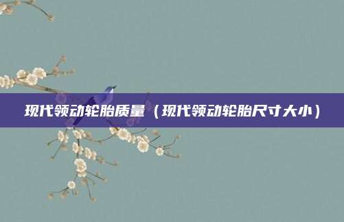 现代领动轮胎质量(现代领动轮胎尺寸大小)