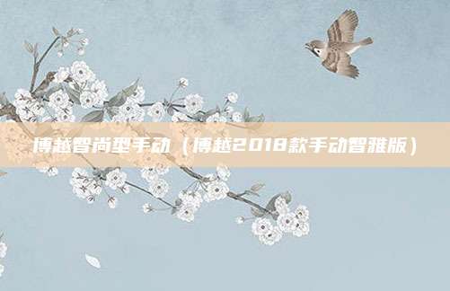 博越智尚型手动(博越2018款手动智雅版)