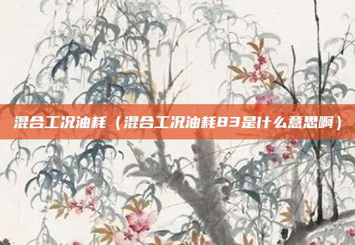 混合工况油耗(混合工况油耗83是什么意思啊)