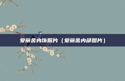 爱丽舍内饰照片(爱丽舍内部图片)