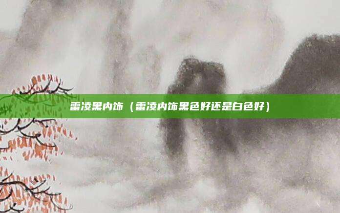雷凌黑内饰(雷凌内饰黑色好还是白色好)