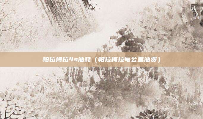帕拉梅拉4s油耗(帕拉梅拉每公里油费)