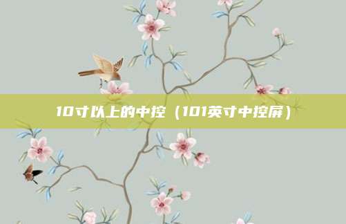 10寸以上的中控(101英寸中控屏)