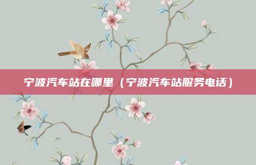 宁波汽车站在哪里（宁波汽车站服务电话）