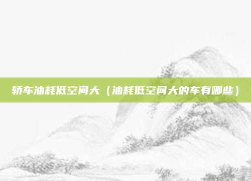 轿车油耗低空间大(油耗低空间大的车有哪些)