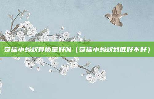 奇瑞小蚂蚁算质量好吗(奇瑞小蚂蚁到底好不好)