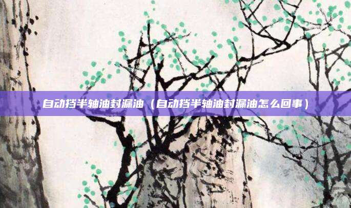 自动挡半轴油封漏油(自动挡半轴油封漏油怎么回事)