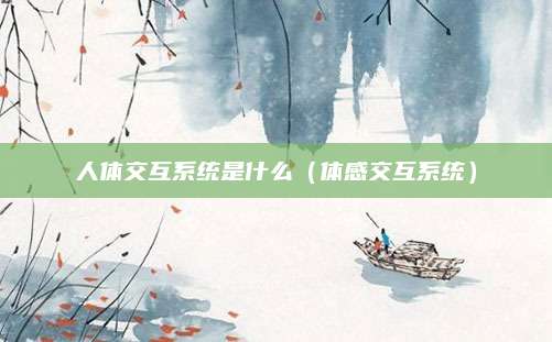 人体交互系统是什么(体感交互系统)