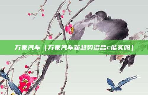 万家汽车(万家汽车新趋势混合c能买吗)