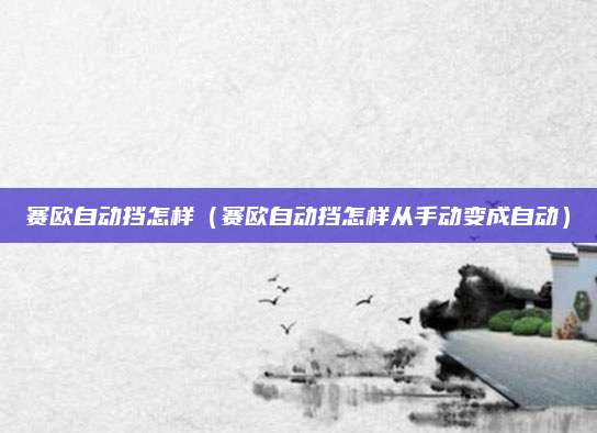 赛欧自动挡怎样(赛欧自动挡怎样从手动变成自动)
