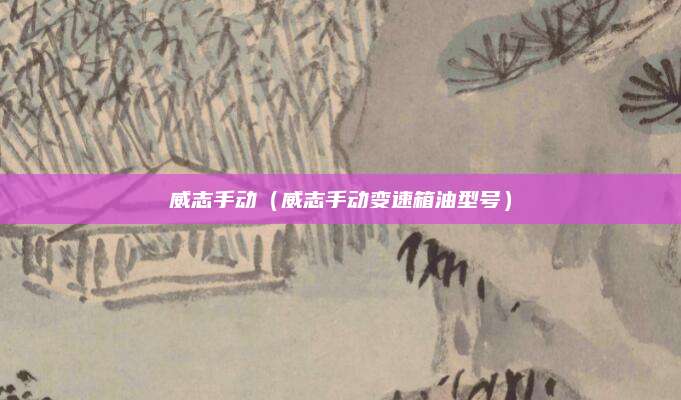 威志手动(威志手动变速箱油型号)