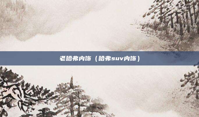 老哈弗内饰(哈弗suv内饰)