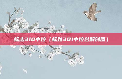 标志310中控(标致301中控台解剖图)