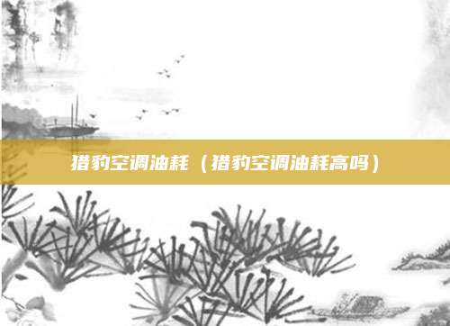 猎豹空调油耗（猎豹空调油耗高吗）