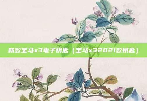 新款宝马x3电子钥匙(宝马x32021款钥匙)