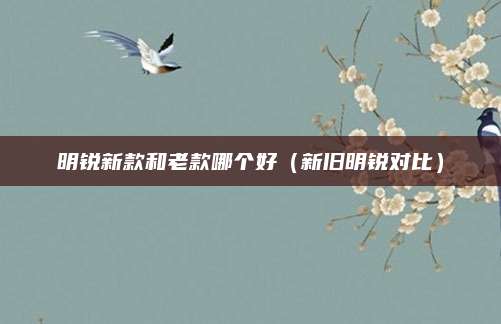明锐新款和老款哪个好(新旧明锐对比)
