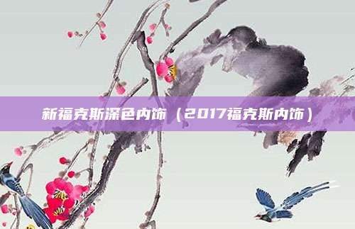 新福克斯深色内饰(2017福克斯内饰)