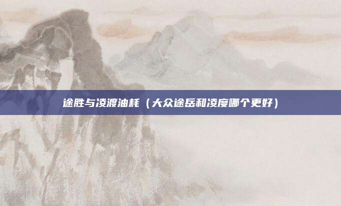 途胜与凌渡油耗（大众途岳和凌度哪个更好）