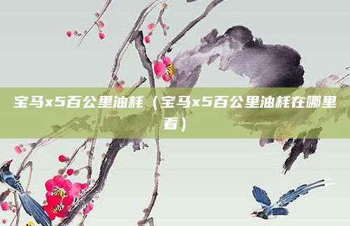 宝马x5百公里油耗(宝马x5百公里油耗在哪里看)