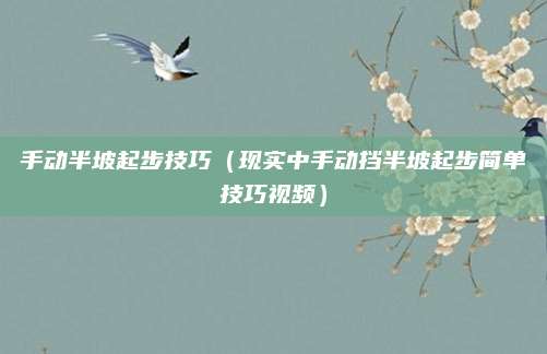 手动半坡起步技巧(现实中手动挡半坡起步简单技巧视频)