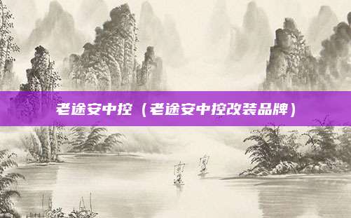 老途安中控(老途安中控改装品牌)