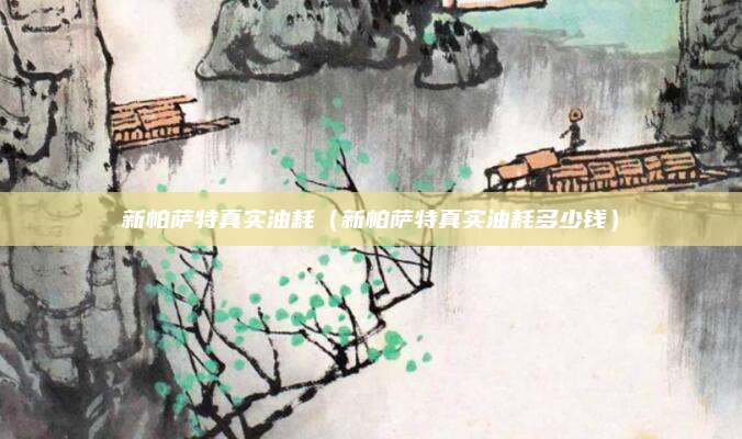 新帕萨特真实油耗（新帕萨特真实油耗多少钱）