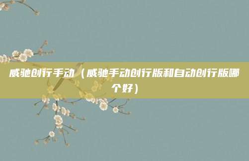 威驰创行手动(威驰手动创行版和自动创行版哪个好)