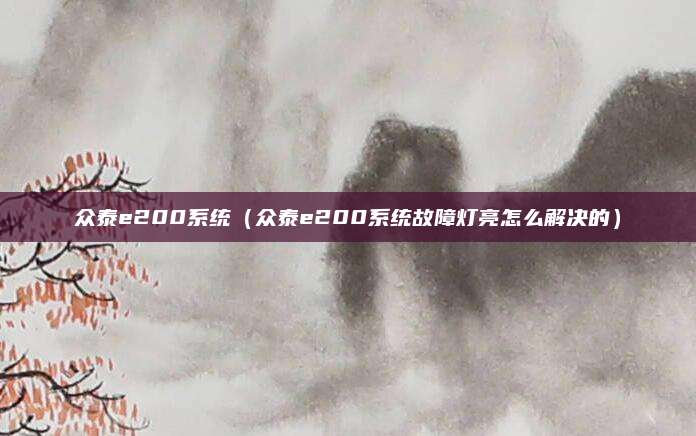 众泰e200系统（众泰e200系统故障灯亮怎么解决的）