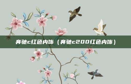 奔驰c红色内饰(奔驰c200红色内饰)