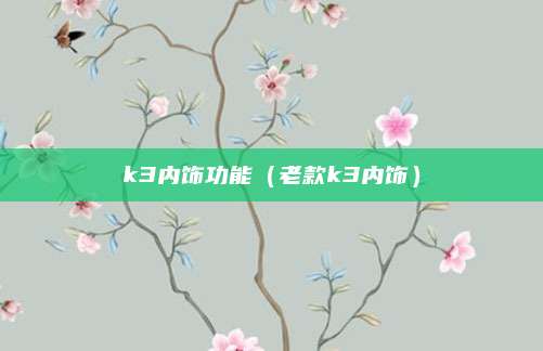 k3内饰功能（老款k3内饰）