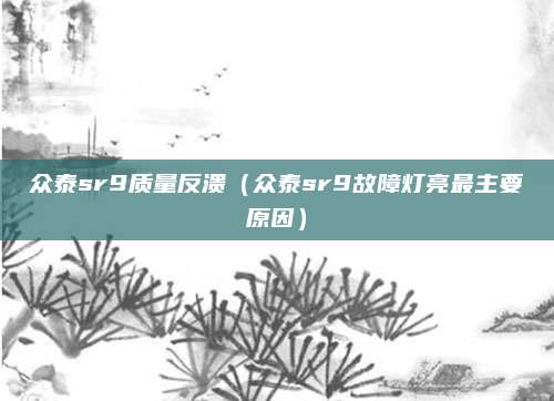 众泰sr9质量反溃(众泰sr9故障灯亮最主要原因)
