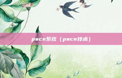pace系统（pace技术）
