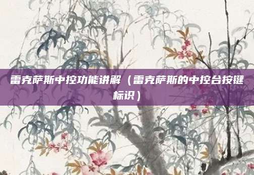 雷克萨斯中控功能讲解(雷克萨斯的中控台按键标识)