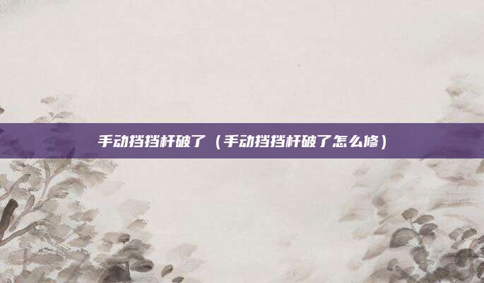 手动挡挡杆破了(手动挡挡杆破了怎么修)