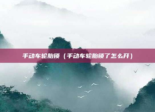 手动车轮胎锁(手动车轮胎锁了怎么开)