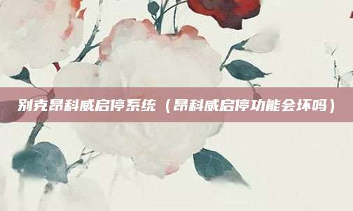 别克昂科威启停系统(昂科威启停功能会坏吗)