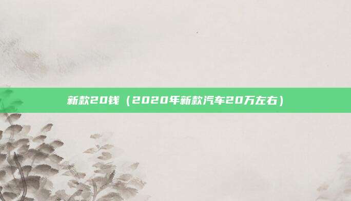新款20钱(2020年新款汽车20万左右)